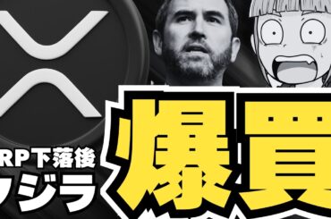 【注目】リップル下落後にクジラが動く！ChainlinkとXRPどちらが勝つか？【仮想通貨】