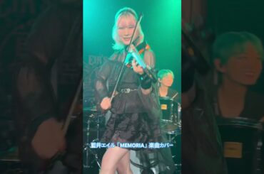 藍井エイル "藍い夏祭り"2025.8.16開催 シークレットゲスト「Resonance」より「MEMORIA」カバー披露