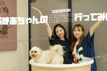 とある子のお店にお邪魔してみた