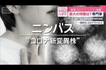 酷暑復活のニッポン列島　新型コロナ「ニンバス」猛威 カミソリ飲むようなノドの痛み【スーパーJチャンネル】(2025年8月18日)