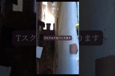 【星読み】葛藤の中から光が生まれる　8月19日（火）今日の星読み　【8/18星読み】かに座の月とTスクエアが示す葛藤と成長