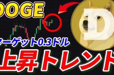 DOGE爆上げの兆し！クジラ買い増し＆ETF承認が追い風！【ドージコイン】【BTC】【Bitcoin】【Bybit】【チャート分析】【価格予想】【今後】【将来価格】【暗号通貨】【仮想通貨】