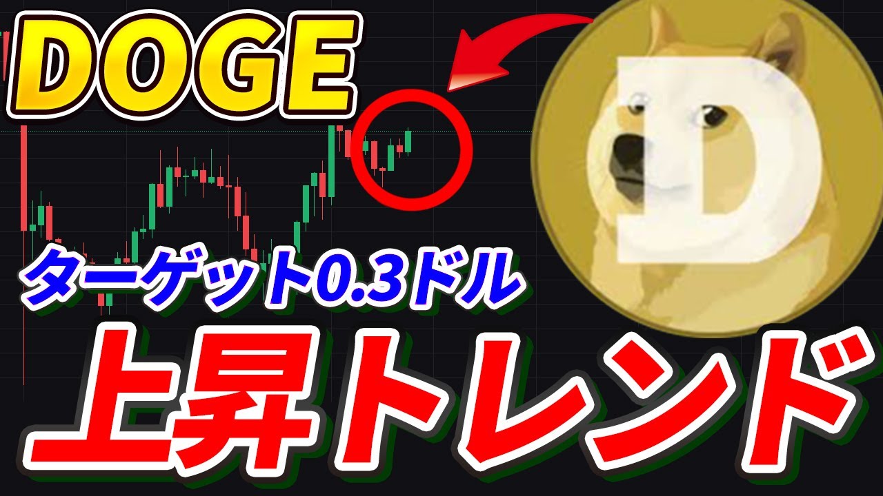 DOGE爆上げの兆し!クジラ買い増し&ETF承認が追い風!【ドージコイン】【BTC】【Bitcoin】【Bybit】【チャート分析】【価格予想】【今後】【将来価格】【暗号通貨】【仮想通貨】 DOGE爆上げの兆し!クジラ買い増し&ETF承認が追い風!【ドージコイン】【BTC】【Bitcoin】【Bybit】【チャート分析】【価格予想】【今後】【将来価格】【暗号通貨】【仮想通貨】