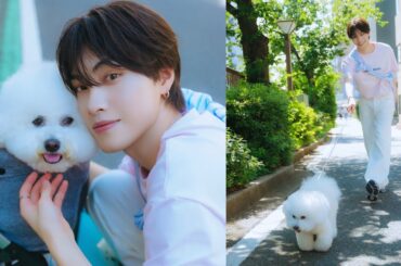 OCTPATH西島蓮汰さんが遊びにきてくれました！（ビションフリーゼ｜月刊わんこ撮影オフショット）