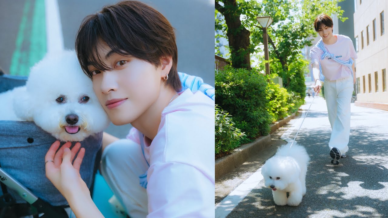 OCTPATH西島蓮汰さんが遊びにきてくれました!(ビションフリーゼ|月刊わんこ撮影オフショット) OCTPATH西島蓮汰さんが遊びにきてくれました!(ビションフリーゼ|月刊わんこ撮影オフショット)