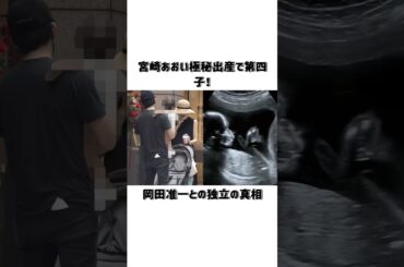 宮崎あおい、極秘出産で第四子！岡田准一との独立の真相#宮崎あおい#岡田准一