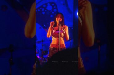 ねこ〜 #elaiza #池田エライザ #elaizalive2025
