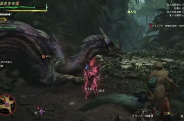 緋の森 星9歴戦◆5 タマミツネ