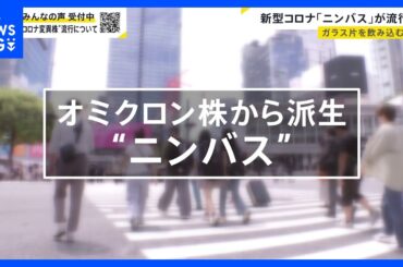 カミソリ飲むような“のどの痛み”…新型コロナ「ニンバス」が流行　猛暑が感染拡大に影響？【news23】｜TBS NEWS DIG