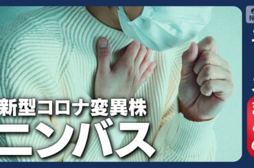 【感染症】新型コロナ「ニンバス」感染者が増加　特徴は「のどが焼けるような」強烈な痛み【ニュースまとめ】(2025年7月29日～8月18日) ANN/テレ朝