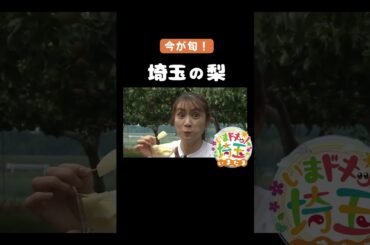#梨#埼玉の梨#旬#果物#彩玉#グルメ#直売#相川梨園#上里梨#梨のリキュール#上里SA#上里町#ローケーキ#カフェ#神川梨#神川町#松井咲子#才木玲佳#アンゴラ村長#いまたま#埼玉県#shorts