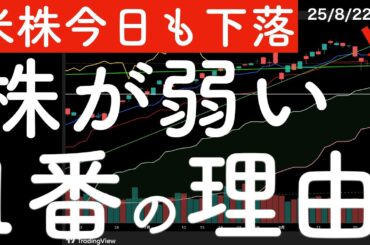 【米株が今日も下落】最近の株が弱い1番の理由はやはりこれ！