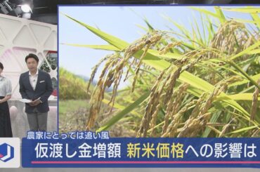新米価格への影響は？仮渡し金増額に農家「乱高下されるようだと･･･」【新潟】スーパーJにいがた8月21日OA