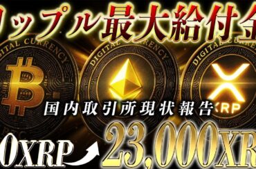 【リップル給付金】国内開始はほぼ確定。新着情報を見逃すな！！