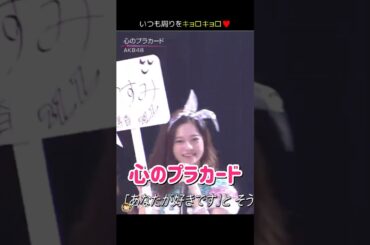 【周りキョロキョロ】心のプラカード 【ぱるる部分のみ】 #島崎遥香 #ぱるる #AKB48 #小嶋陽菜 #山本彩 #指原莉乃 #渡辺麻友 #柏木由紀 #Shorts