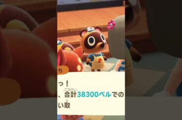 【あつ森】住民のお誕生日お祝いしたり、星のかけら拾ったり… #あつ森 #ハンドメイド作家 #ゲーム #shorts