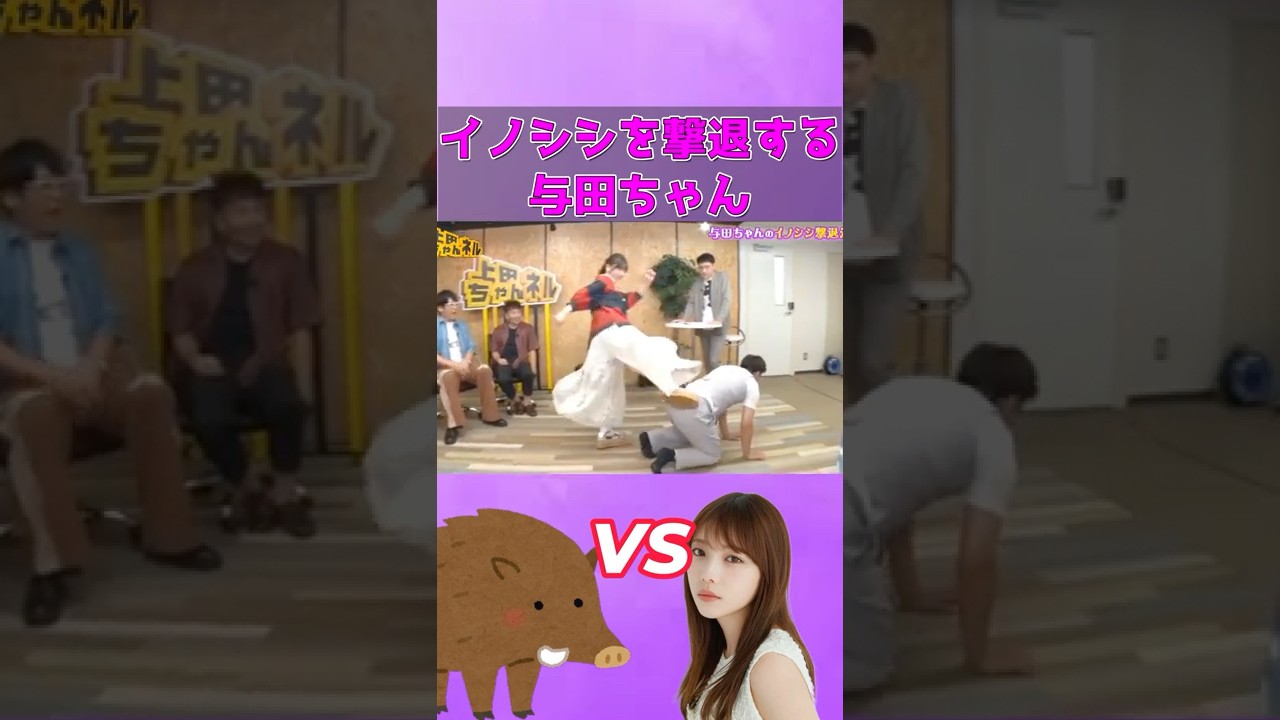 イノシシを撃退していた与田ちゃん #乃木坂46 #与田祐希