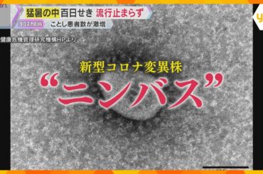 “カミソリをのみ込んだような強烈な喉の痛み” 新型コロナ「ニンバス」感染拡大　百日せきも流行続く