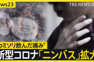 新型コロナ流行 9週連続で増加　“カミソリ飲んだ”喉の痛み…オミクロン株派生の「ニンバス」拡大　“発熱なし喉痛み”で陽性ケースも【news23】｜TBS NEWS DIG