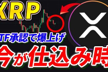 【XRP最新予測】短期は下！長期は上！ETF承認で爆上げの可能性！【リップル】【BTC】【Bitcoin】【Bybit】【バイビット】【チャート分析】【価格予想】【将来価格】【暗号通貨】【仮想通貨】