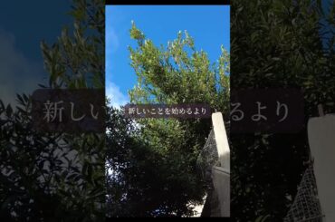 【星読み】流れに任せて静かに整える日　8月22日（金）今日の星読み    【8月22日星読み】しし座の月と新月前の準備期間｜立ち止まることの意味