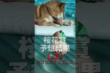 競馬予想犬ふんどし 桜花賞予想結果