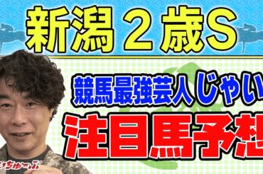 【競馬】新潟2歳Sでのじゃいの予想【勝ち馬予想】