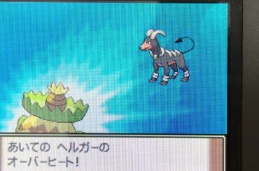 逆に運ゲーを制して銀ネジキを倒す動画