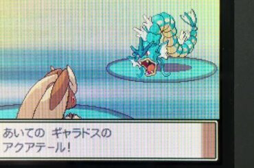 怯みでカウンターは潰され、半減受けも急所で突破される