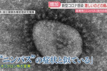 【新型コロナ】「カミソリを飲み込んだような痛み」変異株“ニンバス”か　福岡でも流行の兆し　マスクは熱中症に注意を