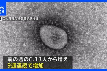 新型コロナ1医療機関あたりの感染者6.30人 9週連続で増加　強いのどの痛みが特徴 新たな変異株「ニンバス」の感染広がる｜TBS NEWS DIG