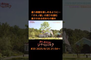 違う表情を楽しめるように…「オキノ邸」の周りを囲む 高さのある何本もの樹木「また、会えたね！ジブリパーク」#20