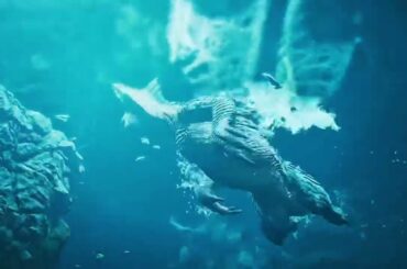 緋の森 星9歴戦◆5 ラギアクルス