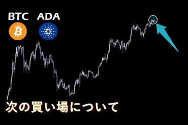 最高値でも新規買いできる基準【BTC＆ADA】