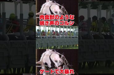 【ゴールドシップ】肉食獣のような鳴き声のゴルシゲートで大暴れ#競馬 #ゴールドシップ #ゴルシ #癖 #天皇賞春 #horse #shorts