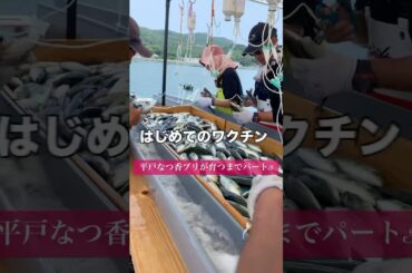 ブリの赤ちゃんにワクチン注射！#shorts