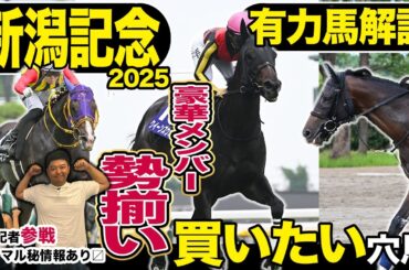 《東スポ競馬ニュース》【新潟記念2025】権藤記者が久しぶりの登場！もちろんお得な情報を持ってきてくれました！豪華メンバーの中で推したい穴馬とは…？有力馬を競馬記者が解説！