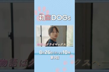 『#初恋DOGs』第9話 8/26(火) 想い合い そしてすれ違う…物語はクライマックスへ―