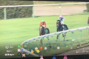 【競馬実況動画2025】第45回新潟2歳S リアライズシリウス (津村明秀)