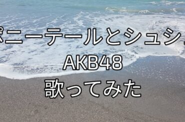 AKB48「ポニーテールとシュシュ」歌ってみた