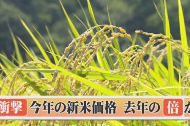 新米価格はスーパーで去年の倍か…JAしまね概算金過去最高額
