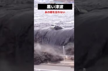 黒い津波が襲った black tsunami survival rate
