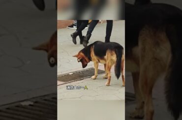 @chemo2546に返信  #moviereview #foryou #映画ライフ #おすすめ映画 #映画 #映画ランキング #映画レビュー