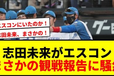 【衝撃】志田未来がエスコンフィールドに降臨！まさかの報告にファン騒然「可愛すぎる」