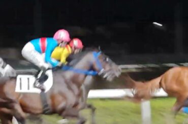 #浦和競馬 #3日目 #第10r #勝利 ③エナジーポコアポコ号🐴　#笹川翼 #おめでとう #3連単 3-8-7 #万馬券 152.450円 #高配当  ②　#内田利雄　#応援 ⑤　#福原杏 #頑張れ