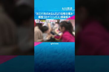 “カミソリをのみ込んだような強烈な喉の痛み” 新型コロナ「ニンバス」感染拡大　百日せきも流行続く　#shorts #読売テレビニュース
