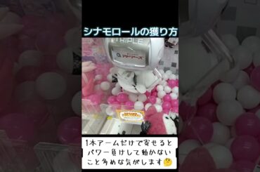 #クレーンゲーム #攻略 #確率無視 #シナモロール #シナモン  TikTok