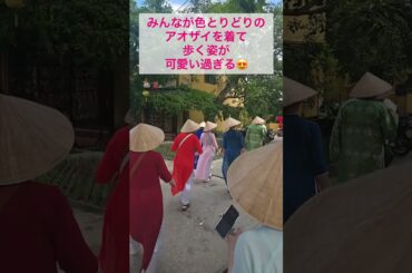 ちゃこ旅プレミアム　ベトナム🇻🇳ツアー〜全員でアオザイ着てみよう！〜