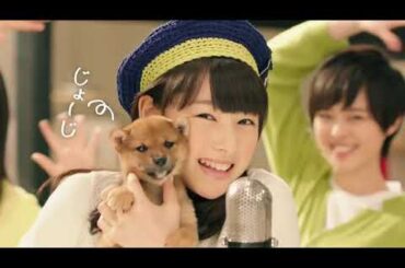 桜井日奈子  いい部屋ネットCM 集