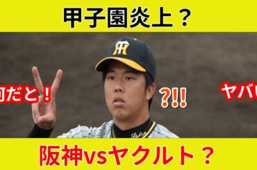 "甲子園ビアフェスタ速報！山本彩と生乾杯！衝撃の劇的展開？"